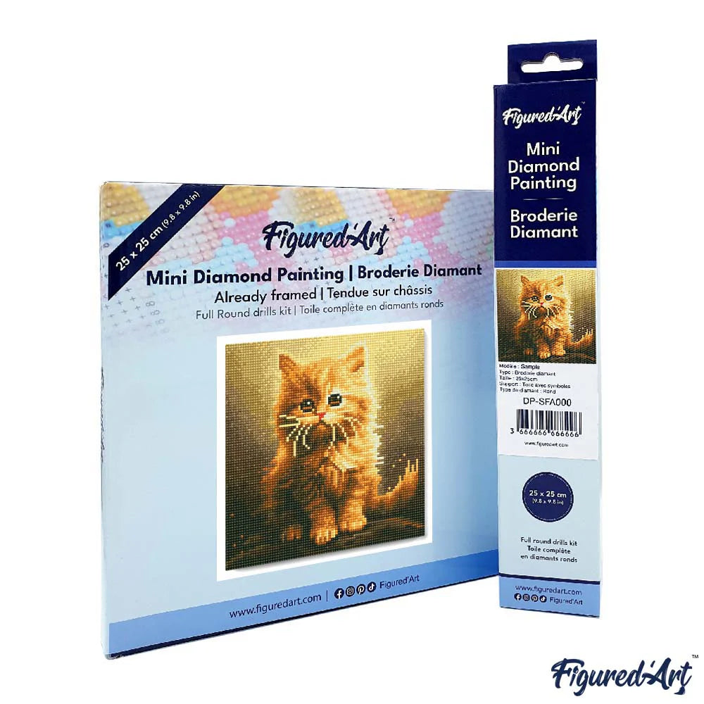 Diamond Art Kit Fluffy Orange Kitten 25X25Cm