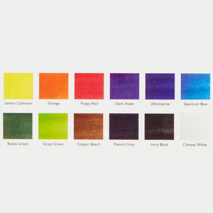 Derwent Watercolour Paint Pan 12 Set