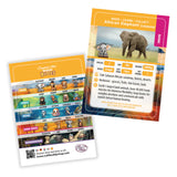 Crystal Art Wildlife Buddies - Elephant