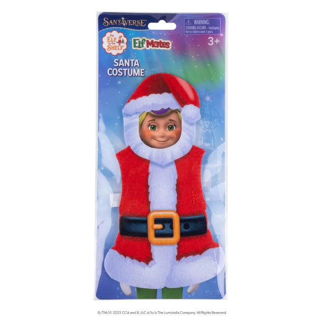 Elf Mates Costume - Santa's Holiday Best