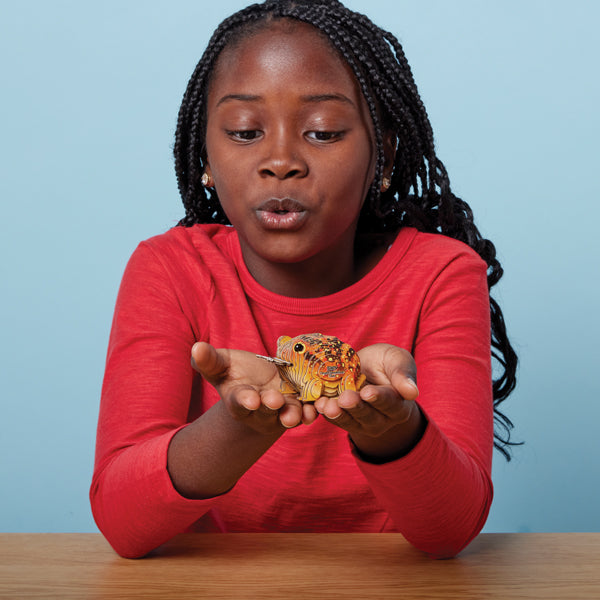 EUGY Desert Spadefoot Toad