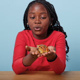 EUGY Desert Spadefoot Toad