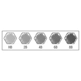 Faber-Castell 9000 Jumbo Graphite Pencil (Tin Of 5)
