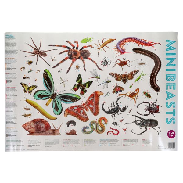 3 Wallcharts - 9+ Nature