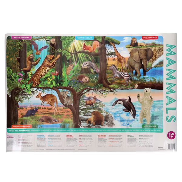 3 Wallcharts - 9+ Nature
