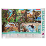 3 Wallcharts - 9+ Nature