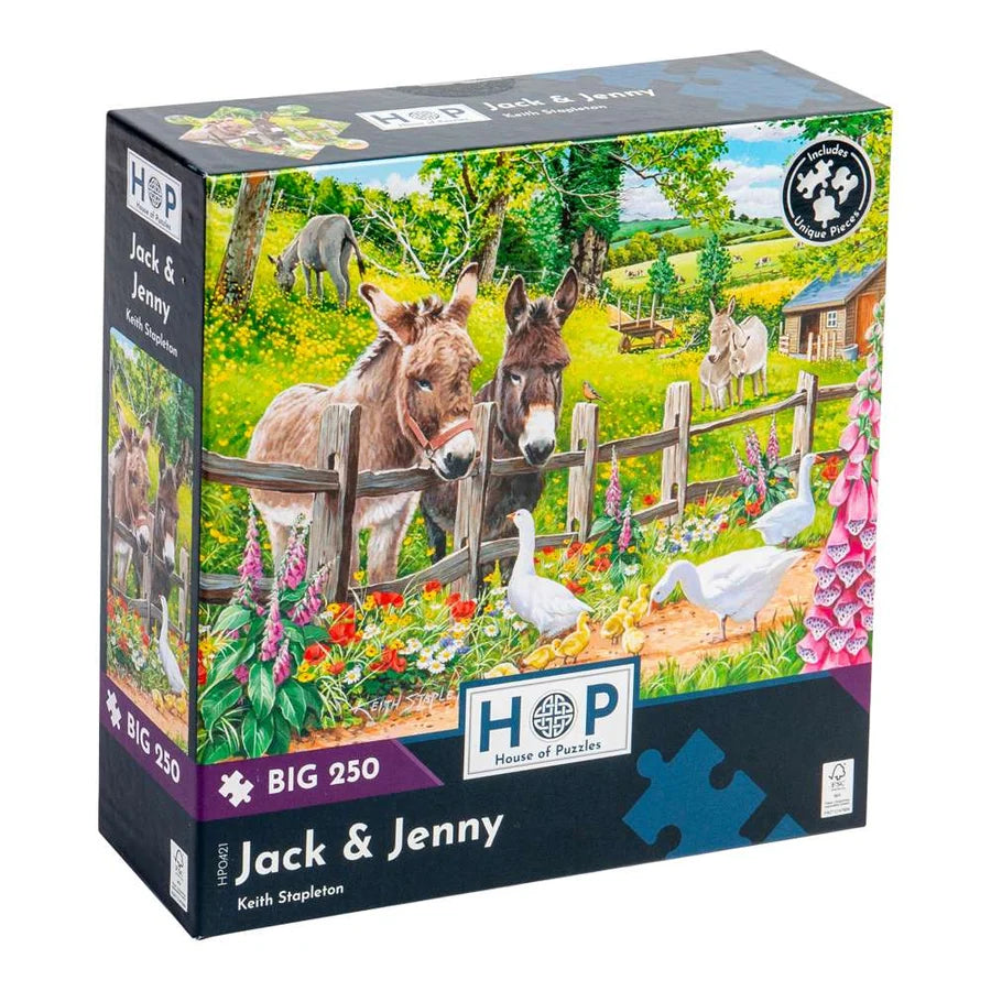 BIG 250 Piece Jigsaw Puzzle - Jack & Jenny