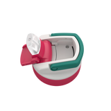 BPA free water bottle with Straw lid-Flamingo