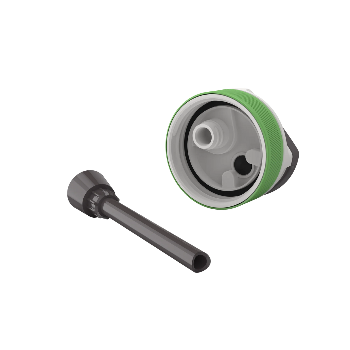 BPA free water bottle with Straw lid-Crocodile