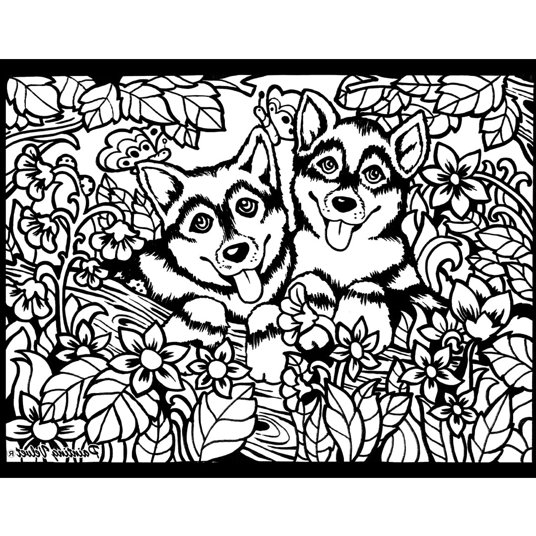 Colorvelvet Small - Husky