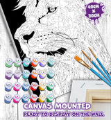 Lion Paint By Numbers