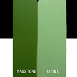 Green color swatch with 'Mass Tone' and ':1:1 Tint' text on a white background