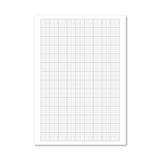 Loose Leaf Graph Paper A4 (500 Pack) 100103410