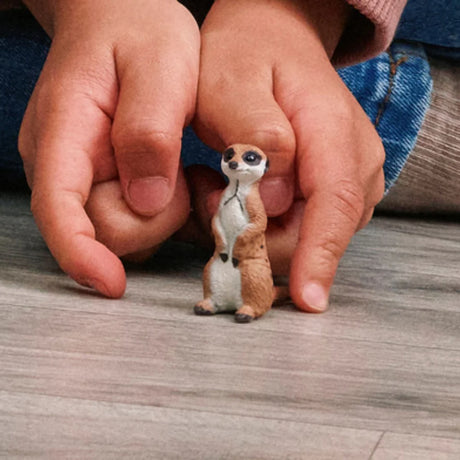 Schleich Meerkat