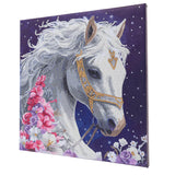 Crystal Art Canvas Kit 30x30cm - Mystic Beauty