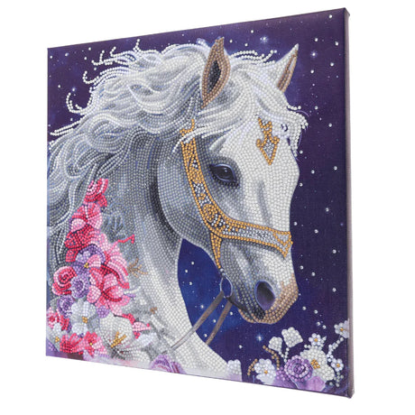 Crystal Art Canvas Kit 30x30cm - Mystic Beauty