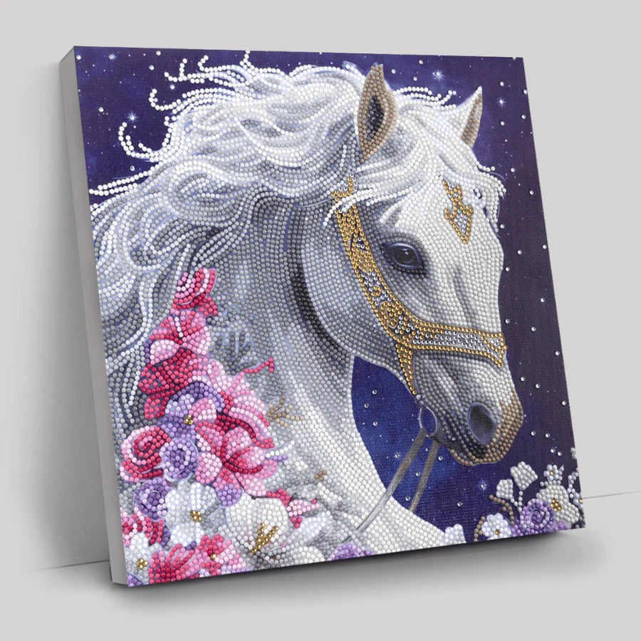 Crystal Art Canvas Kit 30x30cm - Mystic Beauty