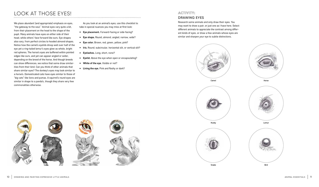 Drawing and Painting Expressive Little Animals Book