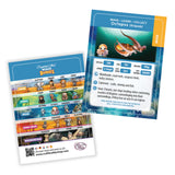 Two educational cards about octopuses and other animals on a white background