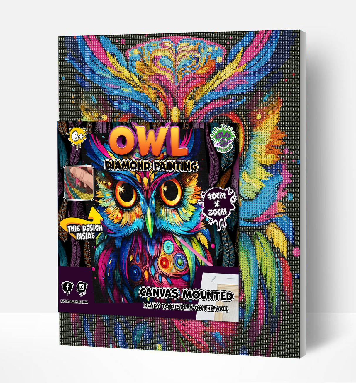 Owl Diamond Art Canvas Mounted Kit