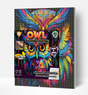Owl Diamond Art Canvas Mounted Kit
