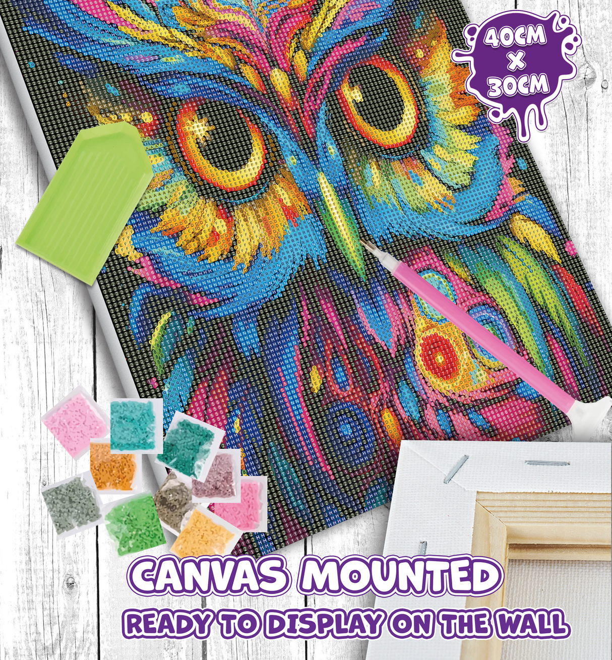 Owl Diamond Art Canvas Mounted Kit