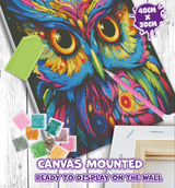 Owl Diamond Art Canvas Mounted Kit