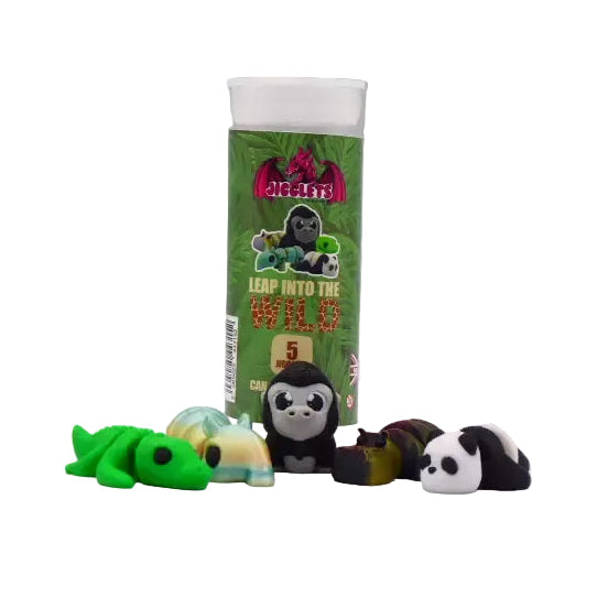 Jigglets Cylinders - 5 Pack (Assortment)