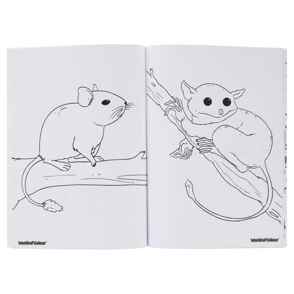 World of Colour A4 48 Page Colouring Book - Pets