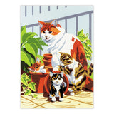 Paint By Numbers Junior - Small Cats (Set of 3)