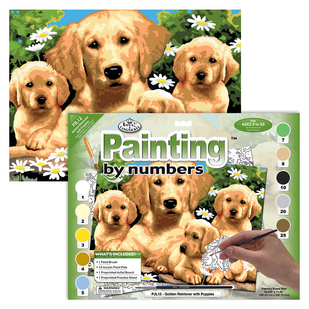 Paint By Numbers Junior Large - Golden Retrievers