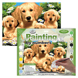 Paint By Numbers Junior Large - Golden Retrievers
