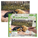Paint By Numbers Junior Large - Sleepy Day