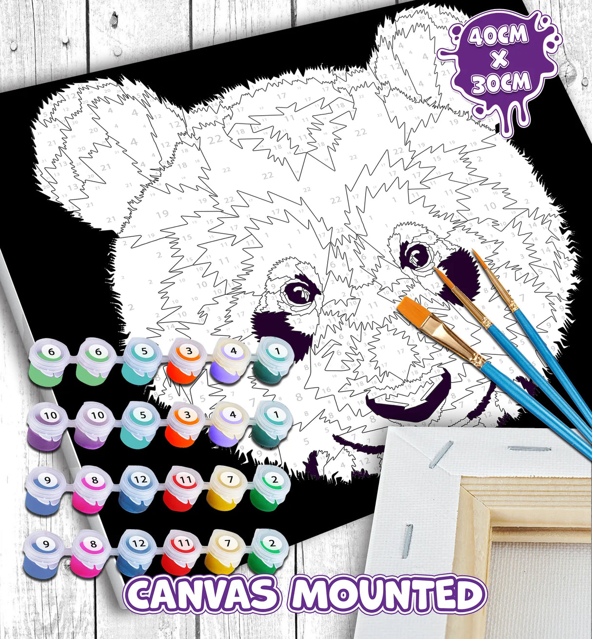 Paint by Numbers Set - Panda