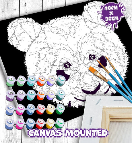 Paint by Numbers Set - Panda