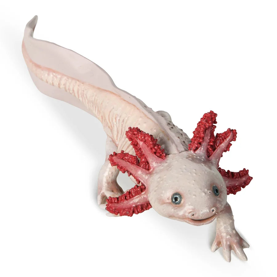 Papo Axolotl