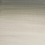 Professional Watercolour Davys Gray