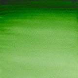 Professional Watercolour Hookers Green