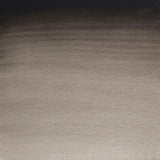 Professional Watercolour Ivory Black