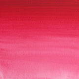 Professional Watercolour Permanent Rose