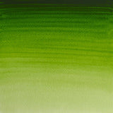 Professional Watercolour Permanent Sap Green