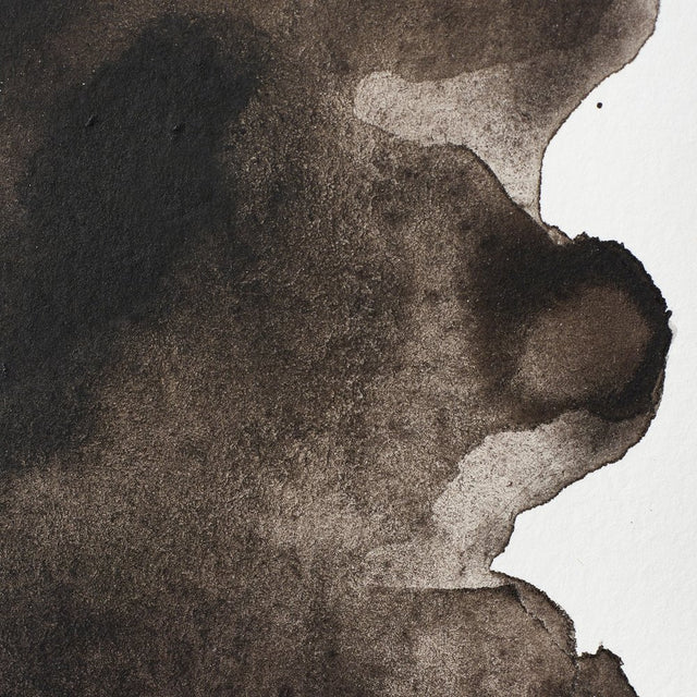 Professional Watercolour Sepia