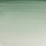 Professional Watercolour Terre Verte