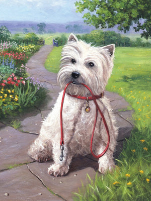 Paint By Numbers Junior Small - Time For A Walk