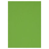 Premier A4 160g Activity Card 50 sheets- Parrot Green