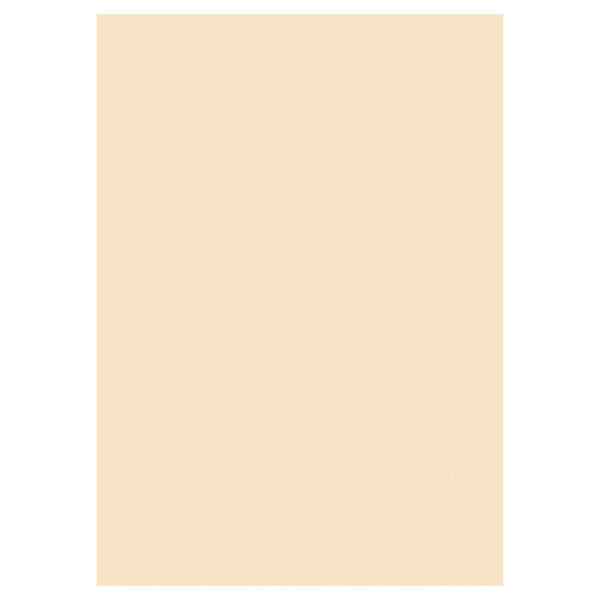 Activity A4 200gsm Card 50 Sheets - Ivory