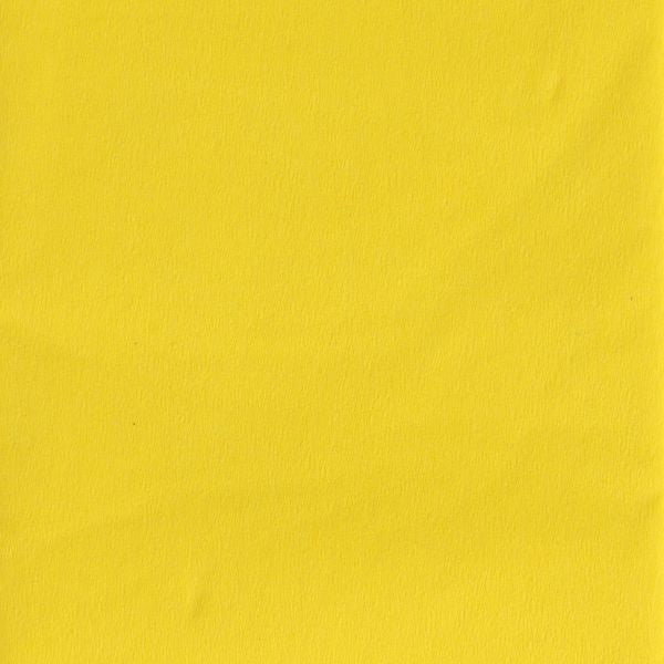 Icon Craft -Crepe Paper Daffodil Yellow