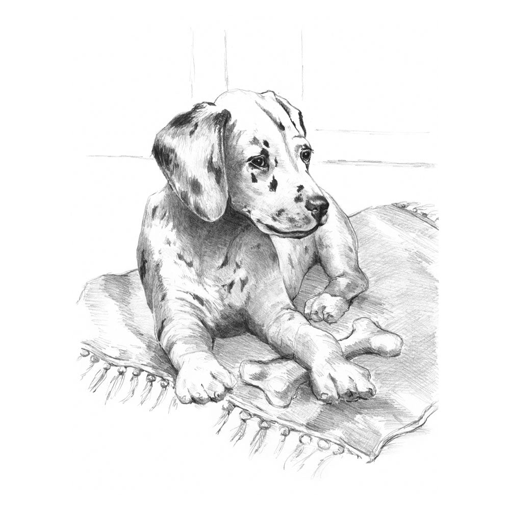 Sketching Made Easy Set - Dalmatian