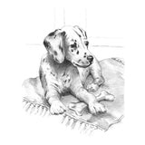 Sketching Made Easy Set - Dalmatian
