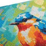 Crystal Art Canvas Kit 30x30cm - Spring Robin